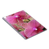 Carnet Phalaenopsis rose Orchidées Florales (Côté Droit)