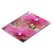 Carnet Phalaenopsis rose Orchidées Florales (Côté gauche)