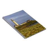 Carnet Phare à Pigeon Point State Beach à San (Côté Droit)