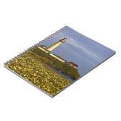 Carnet Phare à Pigeon Point State Beach à San (Côté gauche)