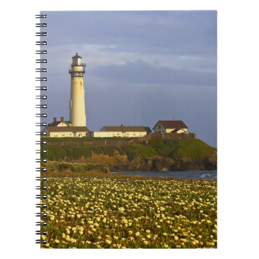 Carnet Phare à Pigeon Point State Beach à San (Devant)