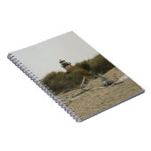 Carnet Phare de la rivière Coquille, OU (Côté Droit)