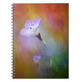 Carnet Phare de Old Point Loma| Monument à Cabrillo (Devant)