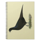 Carnet Pheasant noir Hen (Devant)
