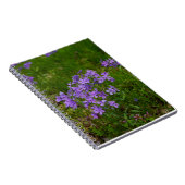 Carnet Phlox bleu sauvage (Côté Droit)