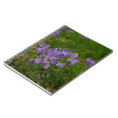 Carnet Phlox bleu sauvage (Côté gauche)