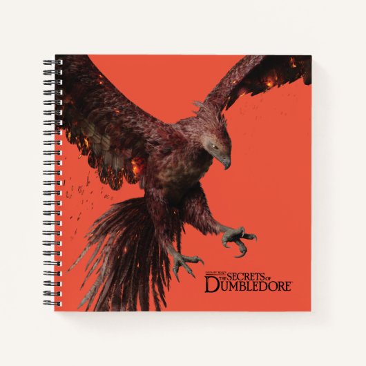 Carnet Phoenix Flying Graphic (Devant)