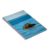 Carnet Phoque commun (Côté Droit)
