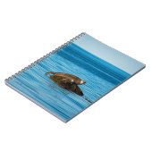 Carnet Phoque commun (Côté gauche)