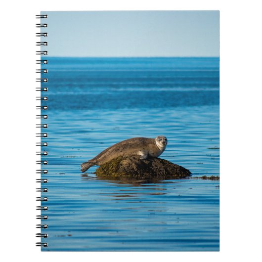 Carnet Phoque commun (Devant)