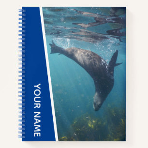 Carnet Phoque Nageant Sous L'eau, Australie, Bleu