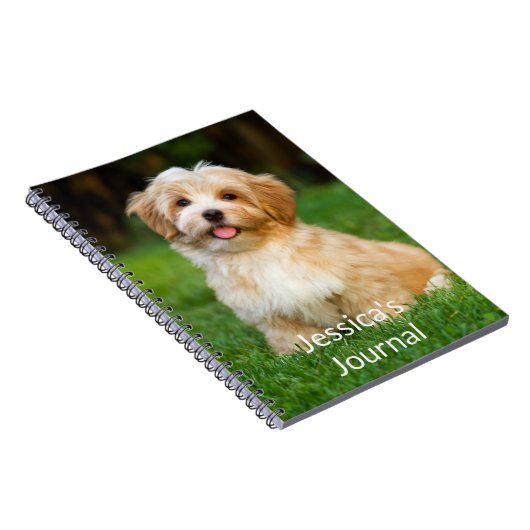 Carnet photo (Côté Droit)