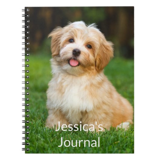 Carnet photo (Devant)