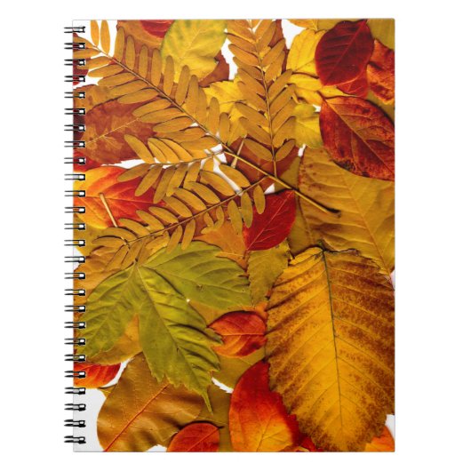 Carnet photo (80 pages B&W) (Devant)