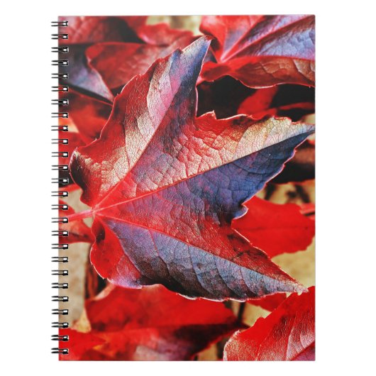 Carnet photo (80 pages B&W) (Devant)