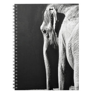 CARNET PHOTO À ÉCHELLE GRIS DE L'ÉLÉPHANT