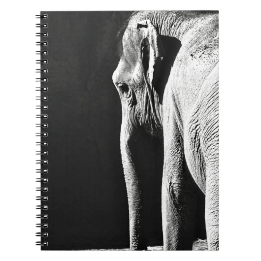 CARNET PHOTO À ÉCHELLE GRIS DE L'ÉLÉPHANT (Devant)