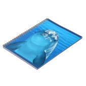 Carnet Photo amicale de dauphin (Côté gauche)