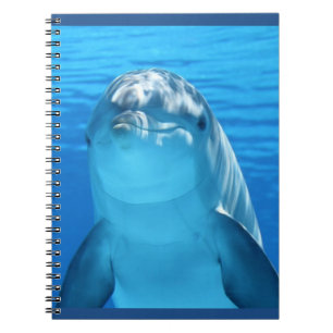 Carnet Photo amicale de dauphin