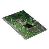 Carnet photo Anhinga Bird Spiral (Côté Droit)