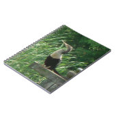Carnet photo Anhinga Bird Spiral (Côté gauche)