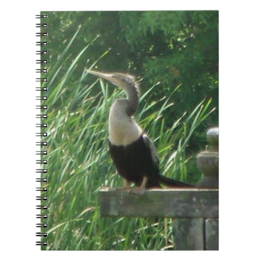 Carnet photo Anhinga Bird Spiral (Devant)