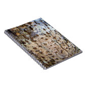 Carnet photo Birch Tree Bark (Côté Droit)