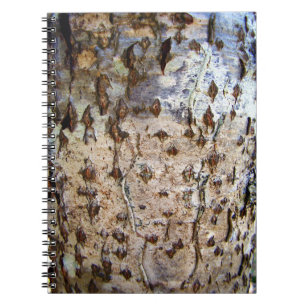 Carnet photo Birch Tree Bark