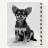 Carnet Photo Chihuahua noir et blanc (Dos)