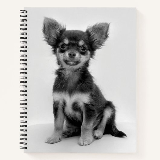 Carnet Photo Chihuahua noir et blanc (Devant)