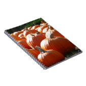 Carnet Photo citrouille pour automne, Halloween ou Thanks (Côté Droit)
