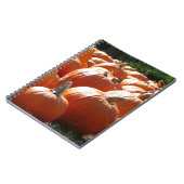 Carnet Photo citrouille pour automne, Halloween ou Thanks (Côté gauche)