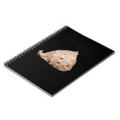 Carnet photo Conch Shell (Côté gauche)