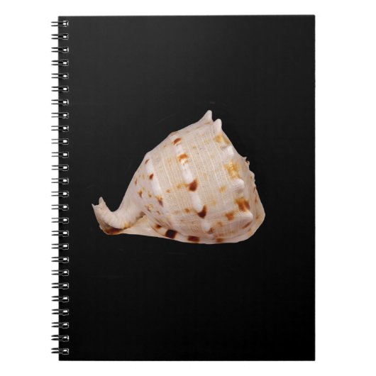 Carnet photo Conch Shell (Devant)