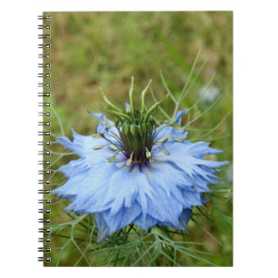 Carnet photo Cornflower Spiral