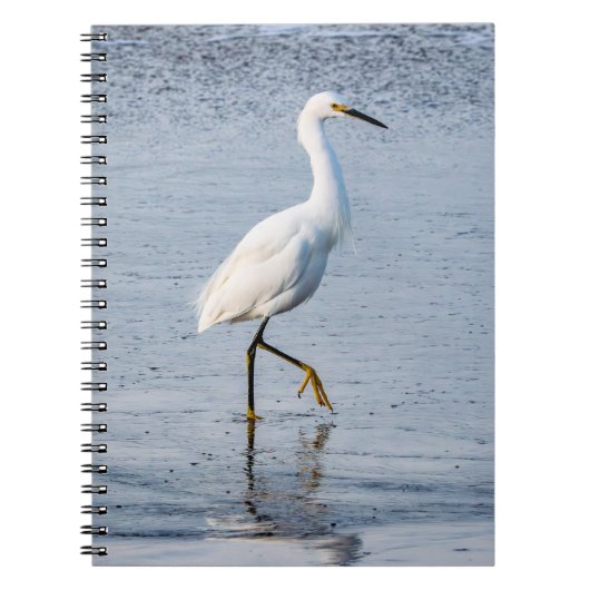 Carnet Photo d'art fin Aigrette (Devant)
