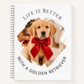 Carnet photo de chien Retriever doré (Devant)