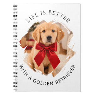 Carnet photo de chien Retriever doré