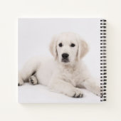 Carnet Photo de chiot Golden Retriever (Dos)
