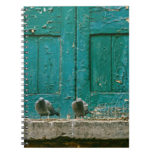 CARNET PHOTO DE CLOSEUP DE DEUX PIGEONS GRIS SUR BÉTON GR