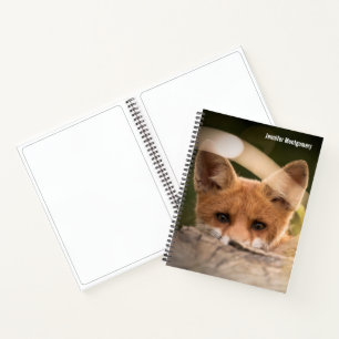 Carnet Photo de Cute Little Orange Fox