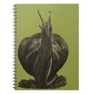 Carnet photo de dessin d'escargot (80 pages B&W)