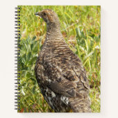 Carnet Photo de faune de Tétras fuligineux (Devant)