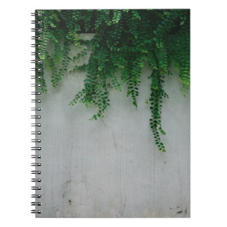 CARNET PHOTO DE FERN PLANTES À PEU PRÈS CONCENTRÉE