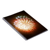Carnet photo de feux d'artifice Bright Burst (Côté Droit)