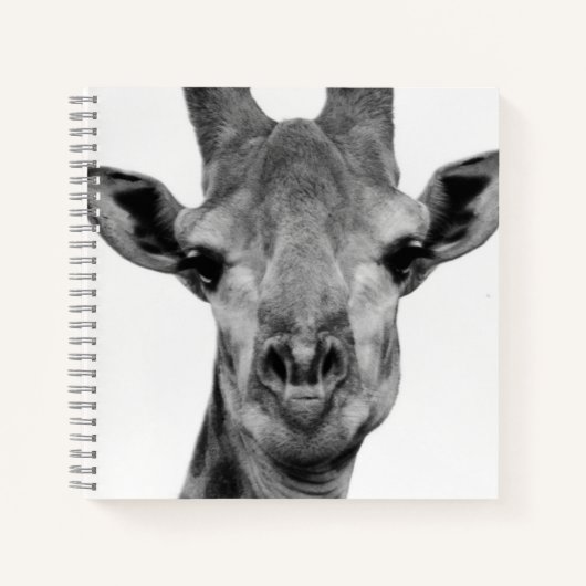 Carnet Photo de girafe noir et blanc (Devant)
