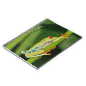 Carnet Photo de grenouille d'arbre (Côté gauche)