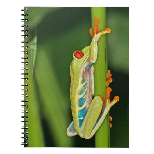 Carnet Photo de grenouille d'arbre (Devant)