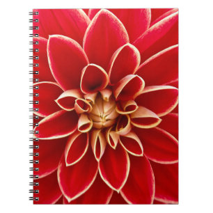 Carnet Photo de gros plan de fleur de dahlia rouge vif