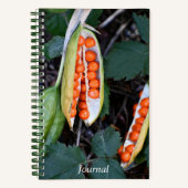 Carnet Photo de la capsule de graines d'Iris fétide (Recto)